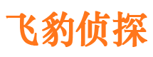 金口河侦探取证